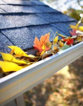 Gutter Cleaning