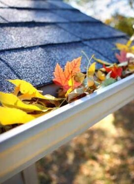 Gutter Cleaning