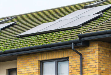 solar panels on a rooftop in ireland Roof Algae Removal
